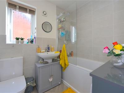 Picture 21